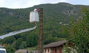 Élagage à Annecy