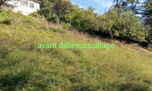 Débroussaillage à Saint-Martin-le-Vinoux