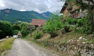 Elagueur Saint-Martin-le-Vinoux
