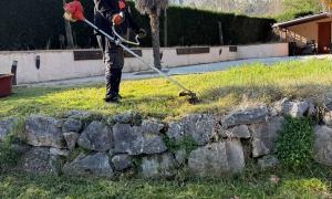 tonte de pelouse sassenage