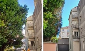 Elagueur Grenoble